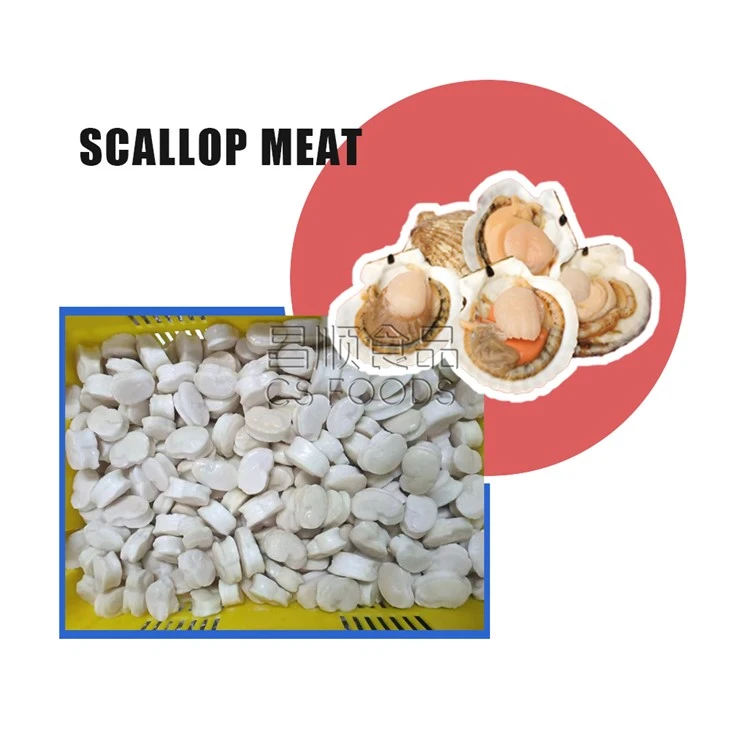 Frozen Giant Scallop Meat